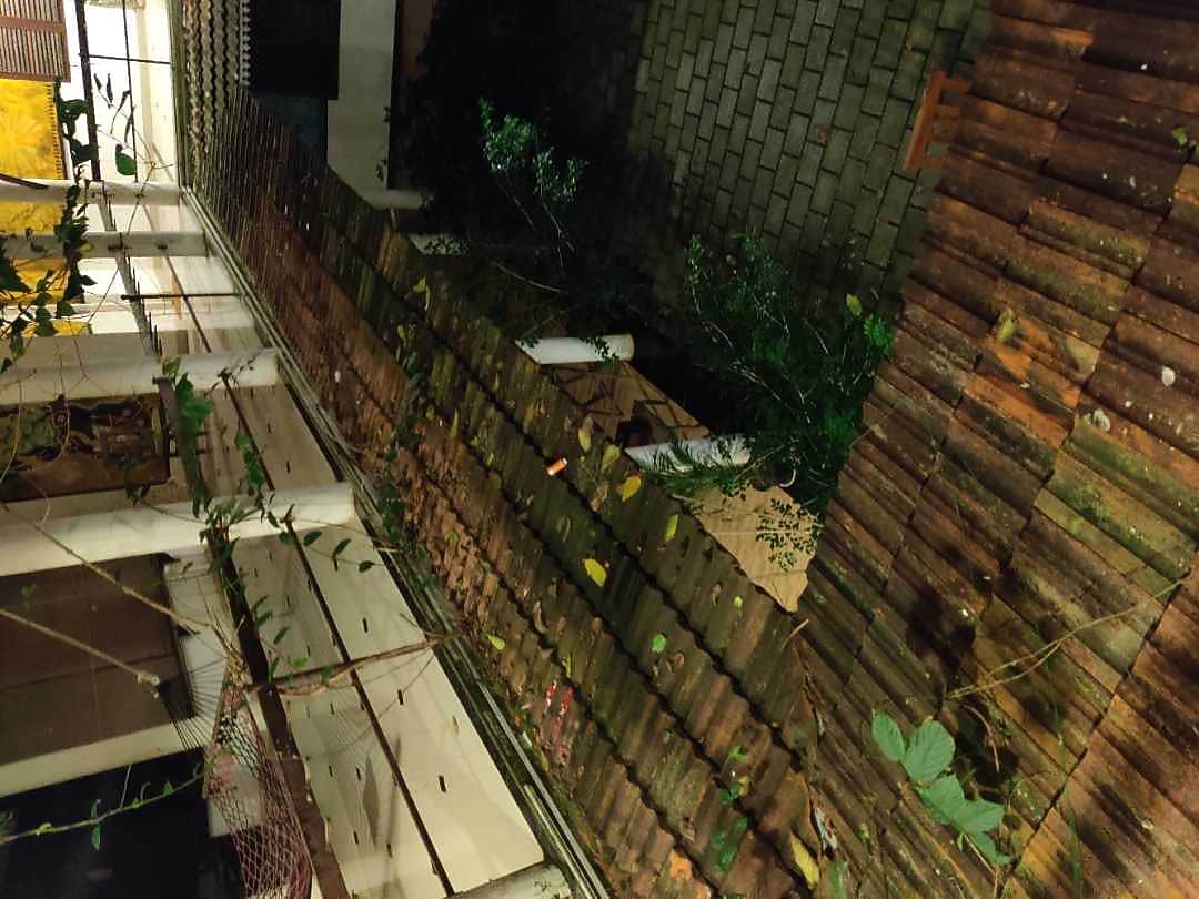 Photos of Kshetra Ayurveda & Yoga Retreat, Varkala Resort in Varkala