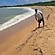 user photos