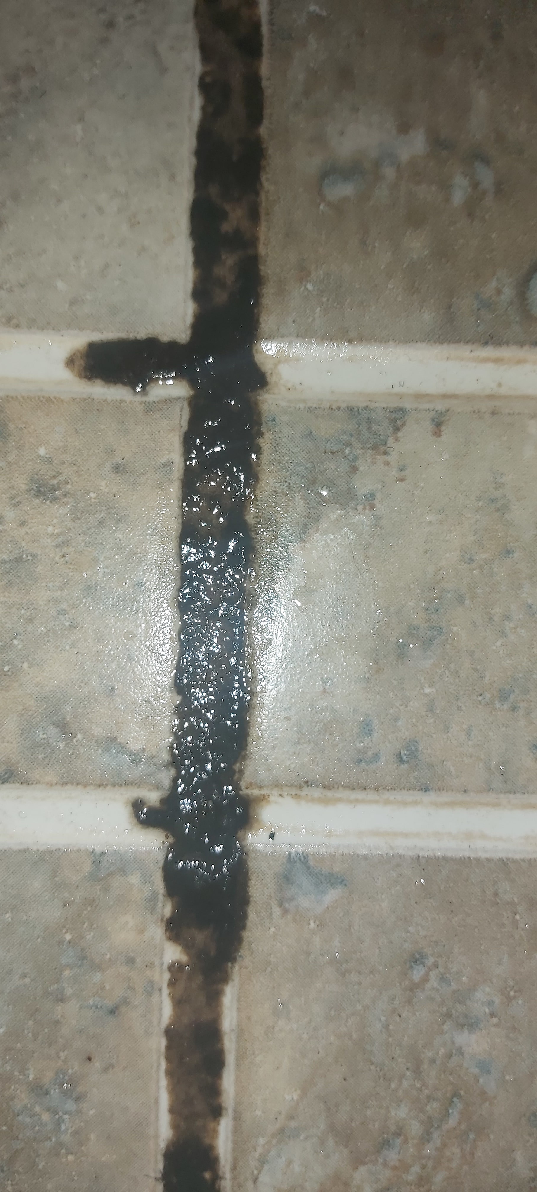 The Pommels Business Hotel 𝗕𝗢𝗢𝗞 Bangalore Hotel 𝘄𝗶𝘁𝗵 𝗙𝗥𝗘𝗘 𝗖𝗮𝗻𝗰𝗲𝗹𝗹𝗮𝘁𝗶𝗼𝗻