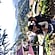 user photos