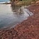 user photos