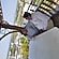 user photos