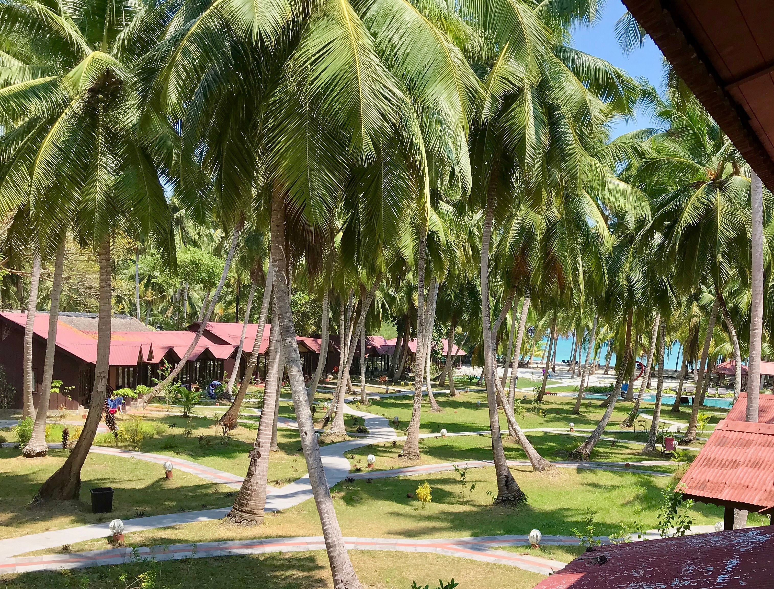 Silver Sand Beach Resort Havelock Resort Free Cancellation Price Address Reviews