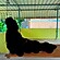 user photos