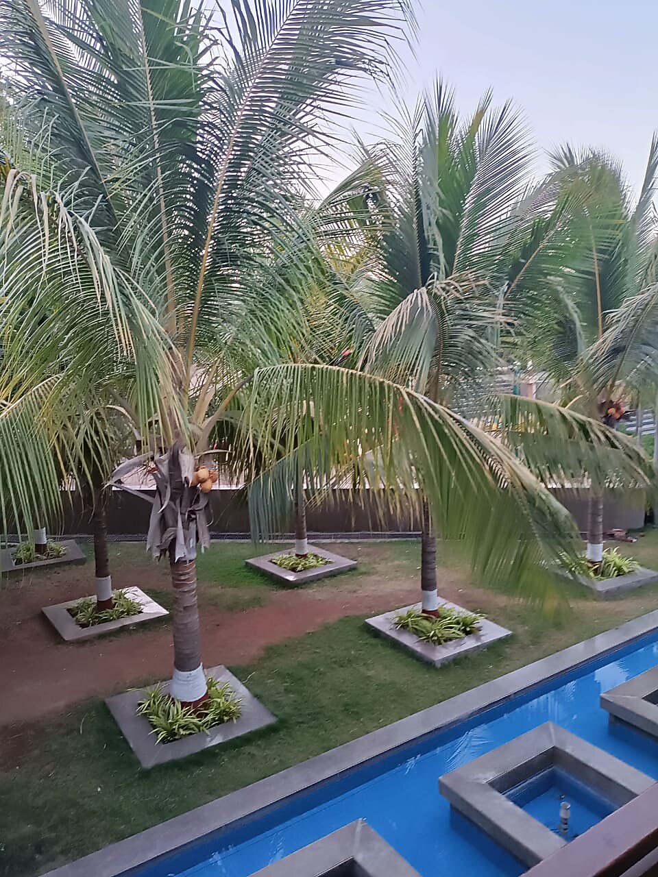 Iscon The Fern Resort & Spa, Bhavnagar Bhavnagar Resort BOOK ₹1