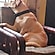 user photos