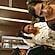 user photos