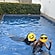 user photos
