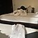 user photos