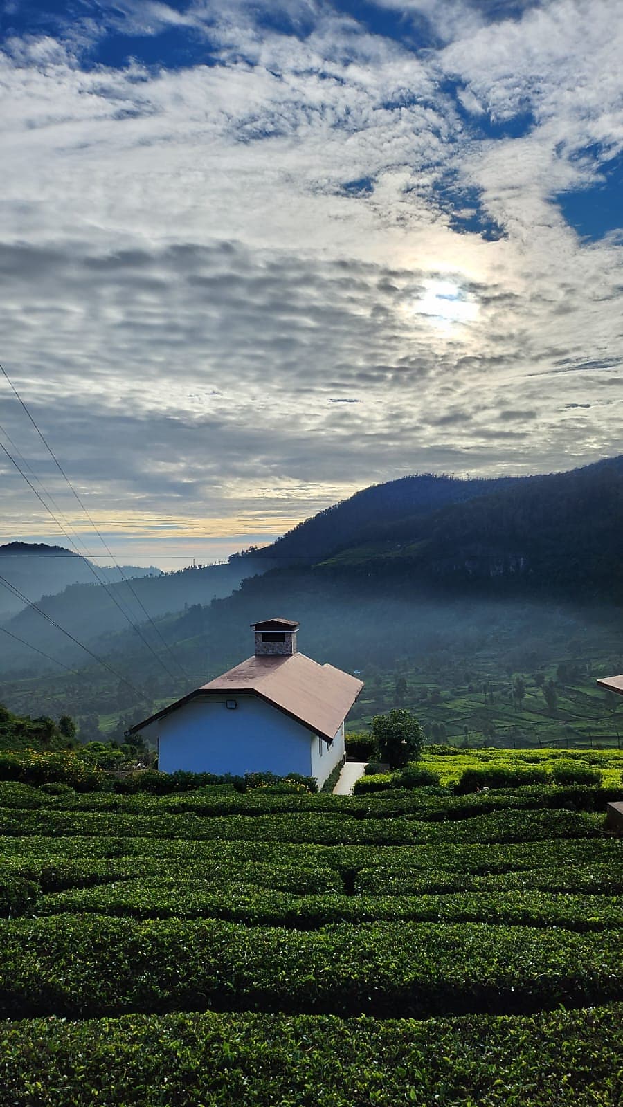 Planters Punch Resorts 𝗕𝗢𝗢𝗞 Ooty Resort 𝘄𝗶𝘁𝗵 𝗙𝗥𝗘𝗘 𝗖𝗮𝗻𝗰𝗲𝗹𝗹𝗮𝘁𝗶𝗼𝗻