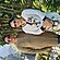 user photos