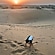 user photos