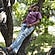 user photos