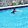 user photos