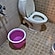 user photos