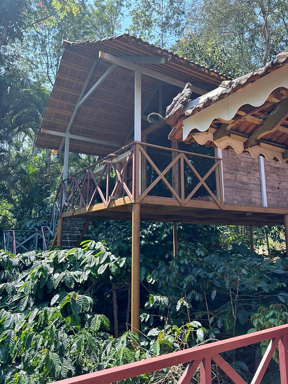 Forest Flower Homestay Rooms & Caretaker 𝗕𝗢𝗢𝗞 Homestay 𝘄𝗶𝘁𝗵
