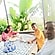 user photos