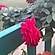 user photos