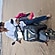 user photos