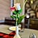 user photos