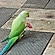 user photos