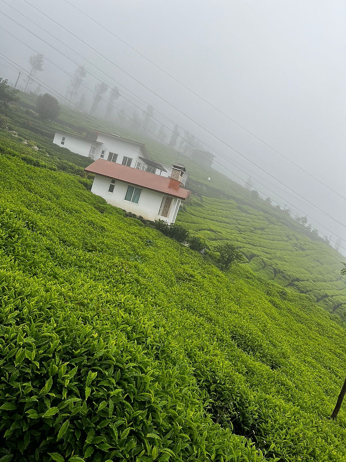 Planters Punch Resorts 𝗕𝗢𝗢𝗞 Ooty Resort 𝘄𝗶𝘁𝗵 ₹𝟬 𝗣𝗔𝗬𝗠𝗘𝗡𝗧