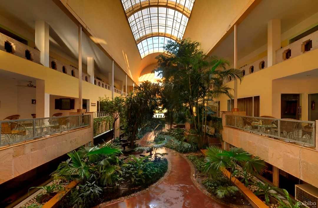 Club Patio 𝗕𝗢𝗢𝗞 Gurgaon Hotel 𝘄𝗶𝘁𝗵 𝗙𝗥𝗘𝗘 𝗖𝗮𝗻𝗰𝗲𝗹𝗹𝗮𝘁𝗶𝗼𝗻