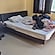 user photos
