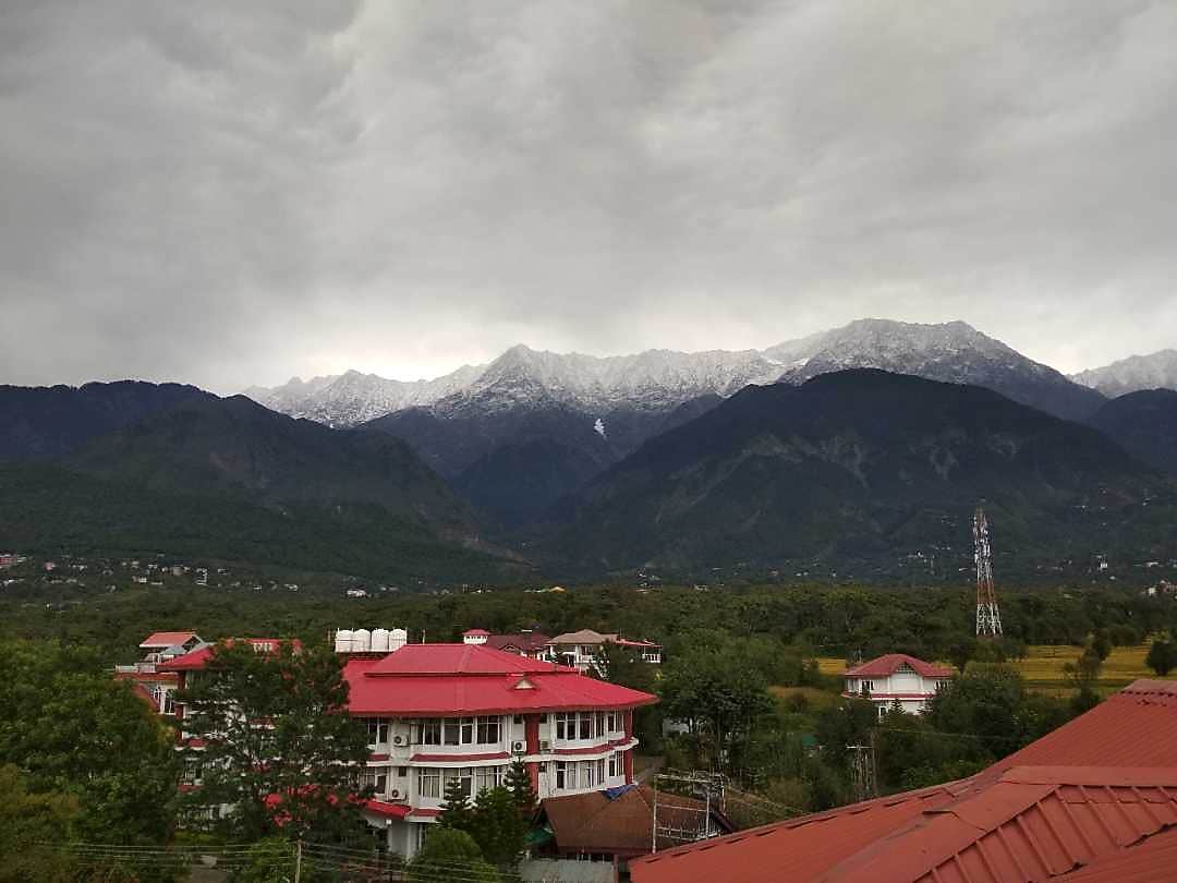 HOTEL DHARAMSHALA PARADISE Dharamshala Price, Address & Reviews