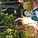 user photos