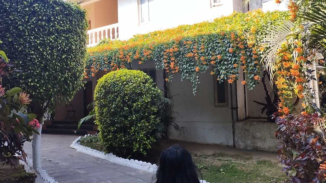 Naman Bastar 𝗕𝗢𝗢𝗞 Jagdalpur Resort 𝘄𝗶𝘁𝗵 𝗙𝗥𝗘𝗘 𝗖𝗮𝗻𝗰𝗲𝗹𝗹𝗮𝘁𝗶𝗼𝗻