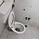 user photos