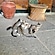 user photos