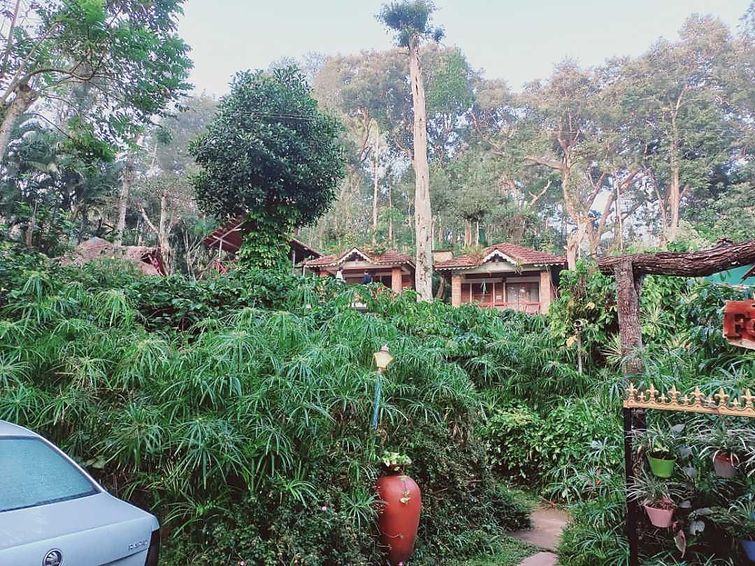 Forest Flower Homestay Rooms & Caretaker 𝗕𝗢𝗢𝗞 Homestay 𝘄𝗶𝘁𝗵