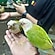 user photos