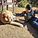 user photos