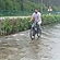 user photos
