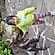 user photos