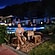 user photos
