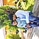 user photos