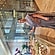 user photos