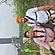 user photos