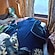 user photos