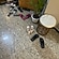 user photos