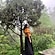 user photos