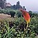 user photos