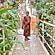 user photos