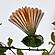 user photos