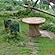 user photos