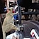 user photos